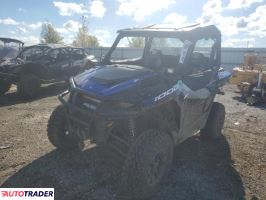 Polaris Pozostałe 2020