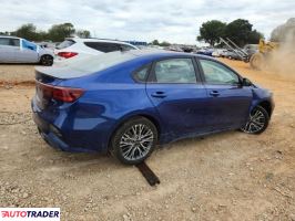 Kia Pozostałe 2024 2