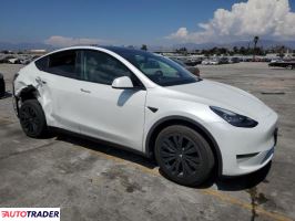 Tesla Model Y 2021 Tesla Model Y 2021