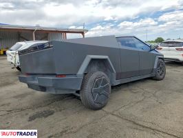 Tesla Pozostałe 2024