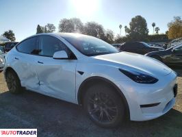 Tesla Model Y 2025