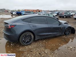 Tesla Model 3 2024