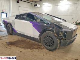 Tesla Pozostałe 2024