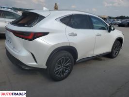 Lexus NX 2024 2