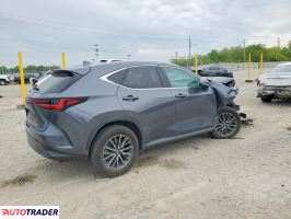 Lexus NX 2024 2