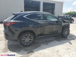Lexus NX 2024 2