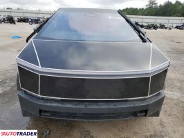 Tesla Pozostałe 2024