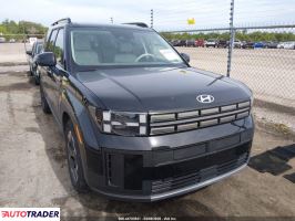 Hyundai Santa Fe 2024 2