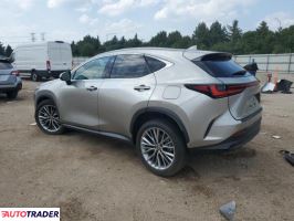 Lexus NX 2023 2 Lexus NX 2023 2