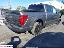 Ford Pozostałe 2024 2