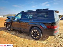 Hyundai Santa Fe 2024 2