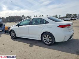 Toyota Corolla 2020 1