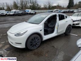 Tesla Model Y 2021 Tesla Model Y 2021