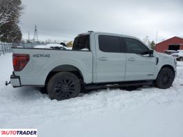 Ford Pozostałe 2024 3