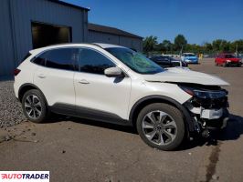 Ford Escape 2024 2