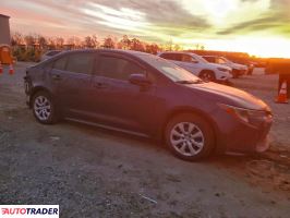 Toyota Corolla 2020 1