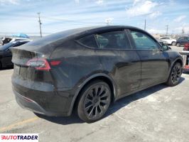 Tesla Model Y 2021 Tesla Model Y 2021