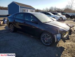 Kia Pozostałe 2024 1