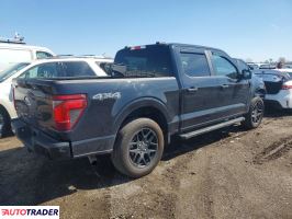 Ford Pozostałe 2024 2