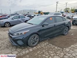 Kia Pozostałe 2024 2