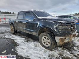 Ford Pozostałe 2024 3