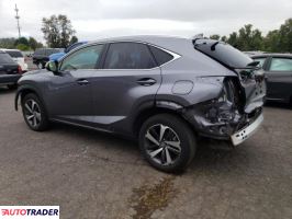 Lexus NX 2019 2