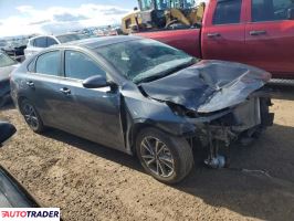 Kia Pozostałe 2024 2