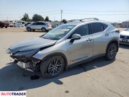 Lexus NX 2024 2