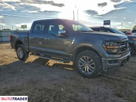 Ford Pozostałe 2024 3