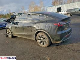 Tesla Model Y 2025