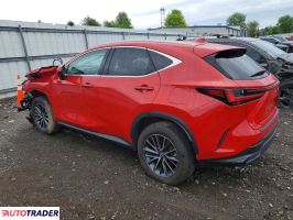 Lexus NX 2024 2