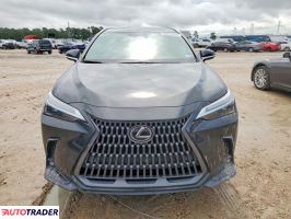 Lexus NX 2024 2