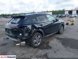 Acura Pozostałe 2025 1