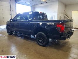 Ford Pozostałe 2024 2