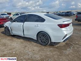 Kia Pozostałe 2024 2