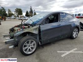 Tesla Model Y 2024 Tesla Model Y 2024