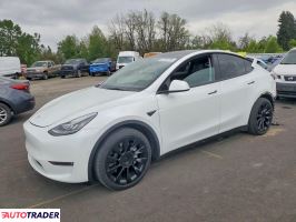 Tesla Model Y 2021