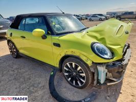 Austin Mini 2022 2