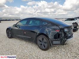 Tesla Model 3 2021 Tesla Model 3 2021