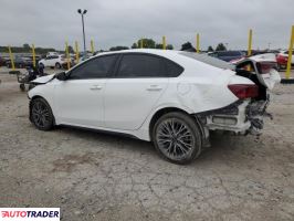 Kia Pozostałe 2022 2