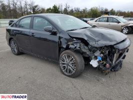 Kia Pozostałe 2022 2