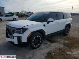 Hyundai Santa Fe 2024 2