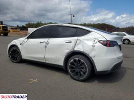 Tesla Model Y 2021 Tesla Model Y 2021
