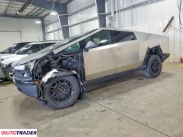 Tesla Pozostałe 2024