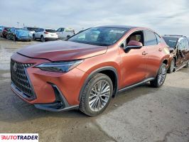 Lexus NX 2025 2