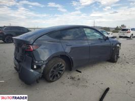 Tesla Model Y 2021 Tesla Model Y 2021