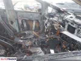 Tesla Pozostałe 2024