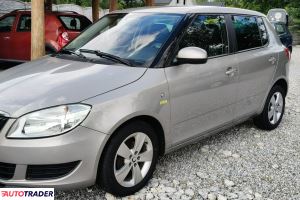 Skoda Fabia 2013 1.2 60 KM
