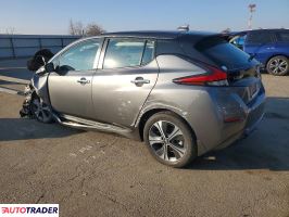 Nissan Leaf 2020