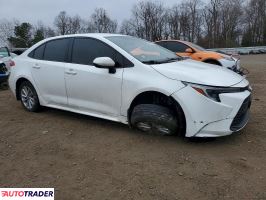 Toyota Corolla 2023 1